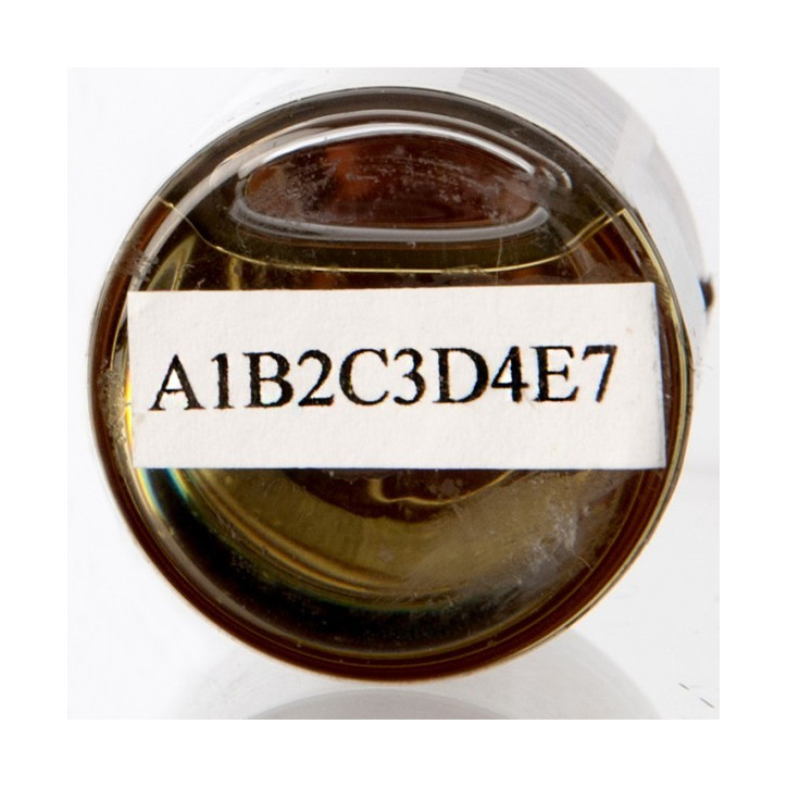 p1RtjA95lEvrtvN6SiZA